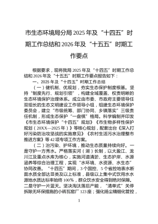 市生态环境局分局2025年及“十四五”时期工作总结和2026年及“十五五”时期工作要点