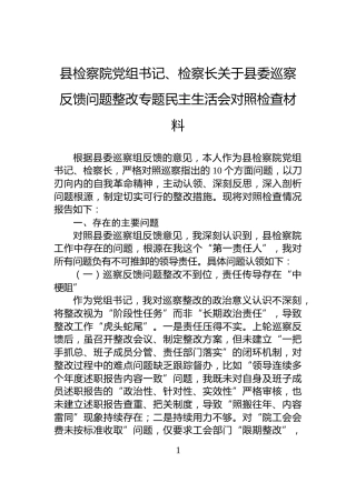 县检察院党组书记、检察长关于县委巡察反馈问题整改专题民主生活会对照检查材料