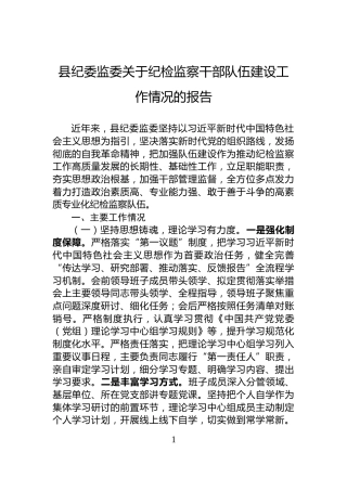 县纪委监委关于纪检监察干部队伍建设工作情况的报告
