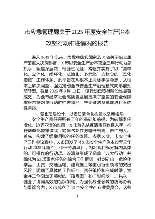 市应急管理局关于2025年度安全生产治本攻坚行动推进情况的报告