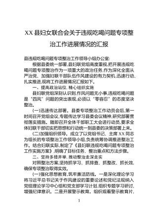 XX县妇女联合会关于违规吃喝问题专项整治工作进展情况的汇报