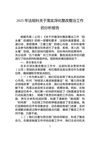 2025年法规科关于落实深化整改整治工作的分析报告