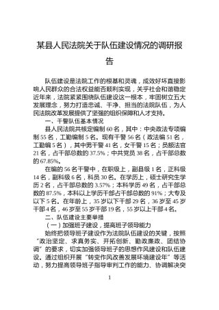 某县人民法院关于队伍建设情况的调研报告