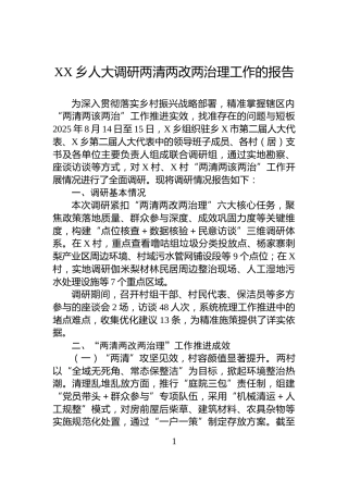 XX乡人大调研两清两改两治理工作的报告