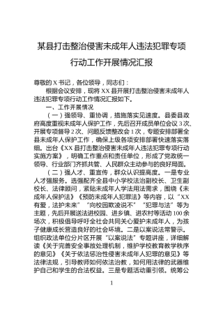 某县打击整治侵害未成年人违法犯罪专项行动工作开展情况汇报