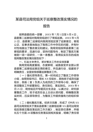 某县司法局党组关于巡察整改落实情况的报告