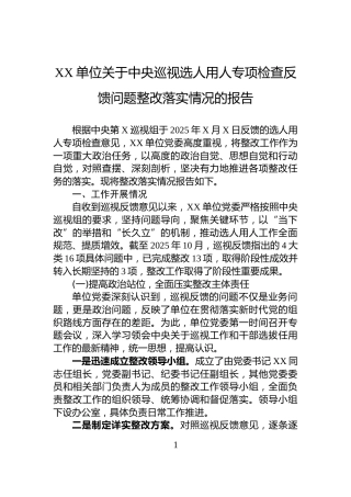 XX单位关于中央巡视选人用人专项检查反馈问题整改落实情况的报告