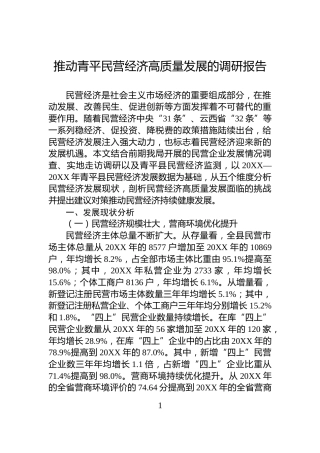 推动青平民营经济高质量发展的调研报告