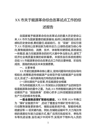 XX市关于能源革命综合改革试点工作的综述报告
