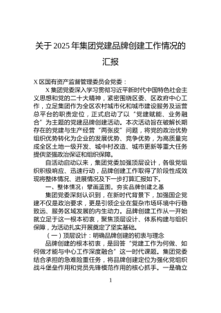 关于2025年集团党建品牌创建工作情况的汇报