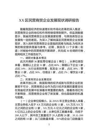XX区民营商贸企业发展现状调研报告
