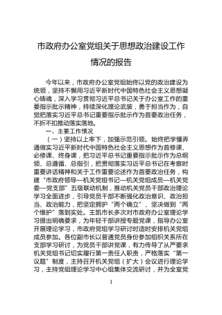 市政府办公室党组关于思想政治建设工作情况的报告
