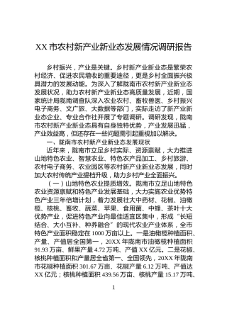 XX市农村新产业新业态发展情况调研报告