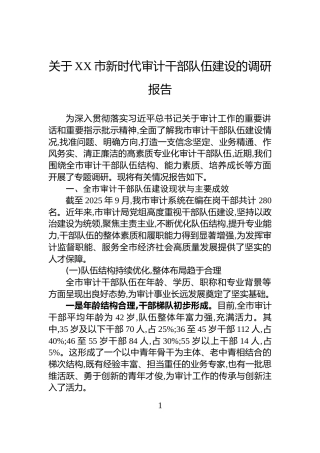 关于XX市新时代审计干部队伍建设的调研报告