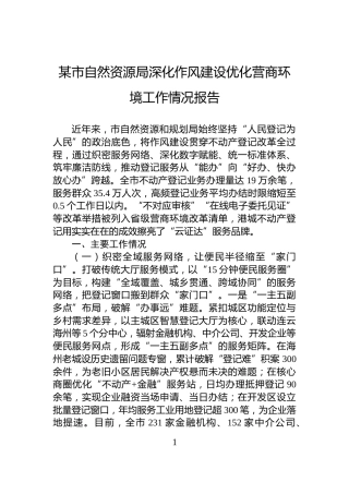 某市自然资源局深化作风建设优化营商环境工作情况报告