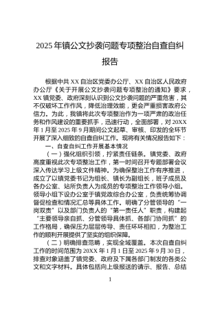 2025年镇公文抄袭问题专项整治自查自纠报告