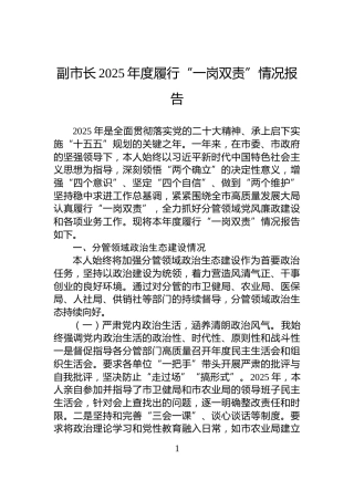 副市长2025年度履行“一岗双责”情况报告