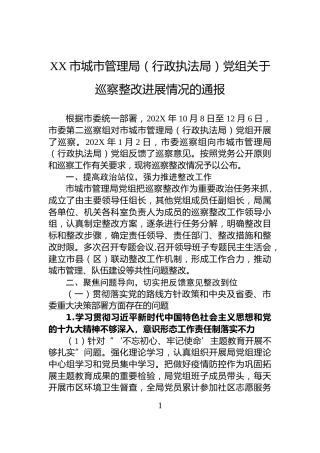 XX市城市管理局（行政执法局）党组关于巡察整改进展情况的通报
