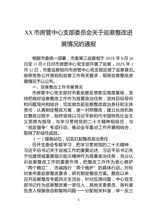 XX市房管中心支部委员会关于巡察整改进展情况的通报