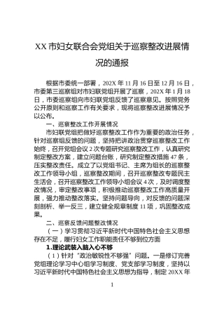 XX市妇女联合会党组关于巡察整改进展情况的通报