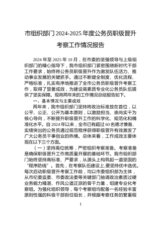 市组织部门2024-2025年度公务员职级晋升考察工作情况报告