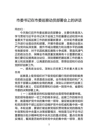 市委书记在市委巡察动员部署会上的讲话