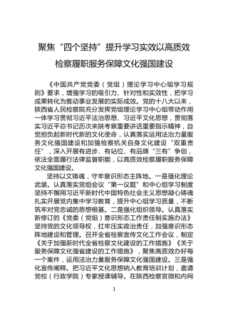 聚焦“四个坚持”提升学习实效以高质效检察履职服务保障文化强国建设
