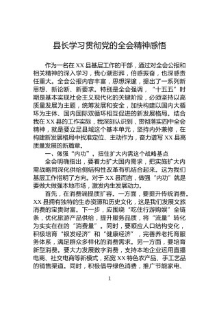 县长学习贯彻党的二十届四中全会精神感悟