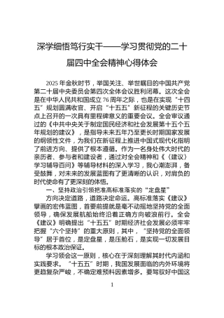 深学细悟笃行实干——学习贯彻党的二十届四中全会精神心得体会