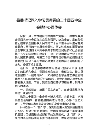 县委书记深入学习贯彻党的二十届四中全会精神心得体会