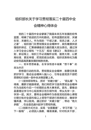 组织部长关于学习贯彻落实二十届四中全会精神心得体会