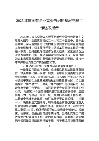 2025年度国有企业党委书记抓基层党建工作述职报告