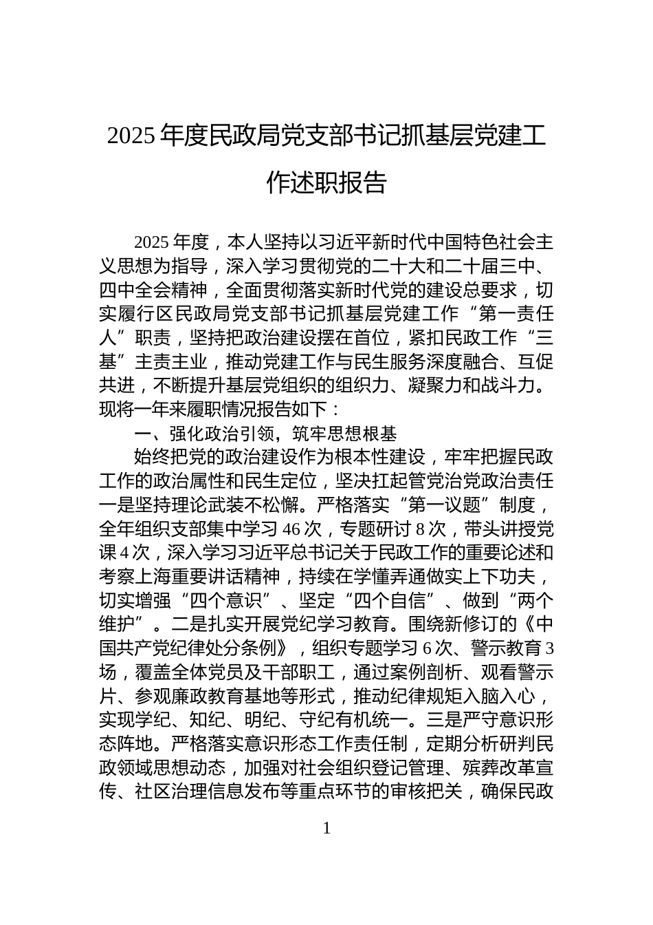 2025年度民政局党支部书记抓基层党建工作述职报告_第1页