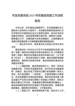 市发改委党组2025年抓基层党建工作述职报告