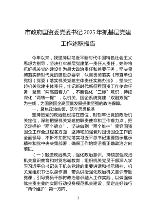 市政府国资委党委书记2025年抓基层党建工作述职报告