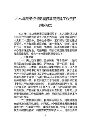 2025年党组织书记履行基层党建工作责任述职报告