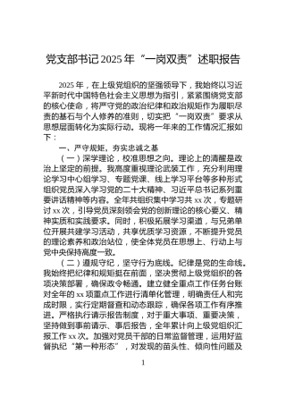 党支部书记2025年“一岗双责”述职报告