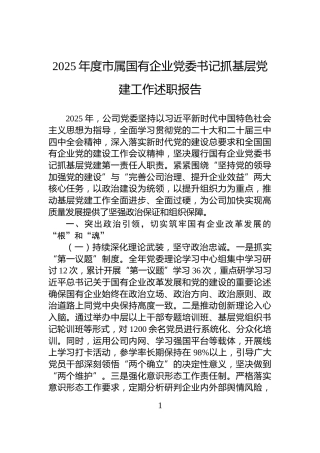 2025年度市属国有企业党委书记抓基层党建工作述职报告