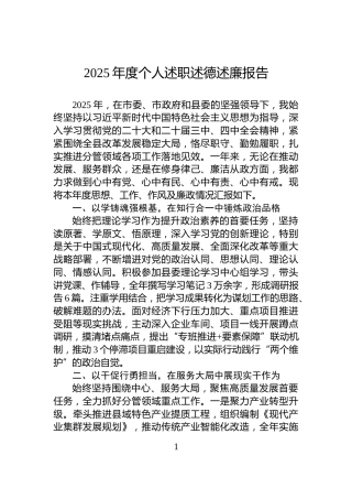 2025年度个人述职述德述廉报告