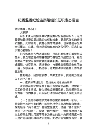 纪委监委纪检监察组组长任职表态发言