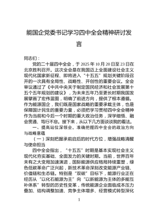 能国企党委书记学习四中全会精神研讨发言