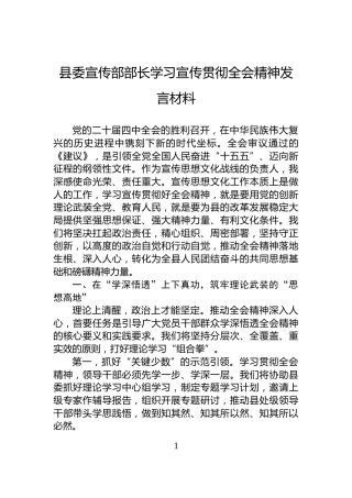 县委宣传部部长学习宣传贯彻全会精神发言材料