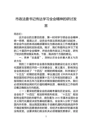 市政法委书记传达学习全会精神的研讨发言