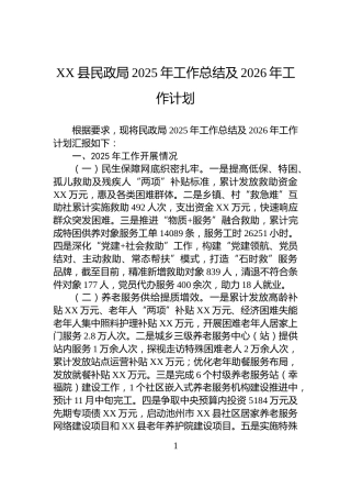 XX县民政局2025年工作总结及2026年工作计划
