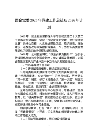 国企党委2025年党建工作总结及2026年计划