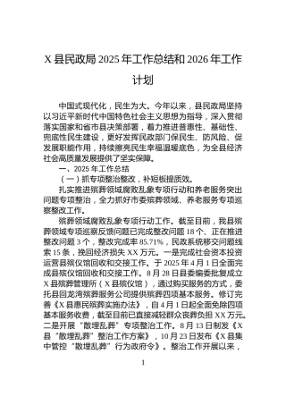 X县民政局2025年工作总结和2026年工作计划