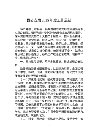 县公安局2025年度工作总结