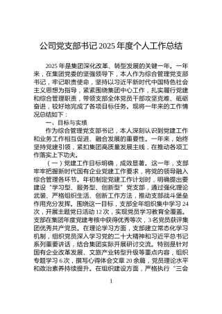 公司党支部书记2025年度个人工作总结