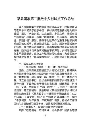某县国家第二批数字乡村试点工作总结