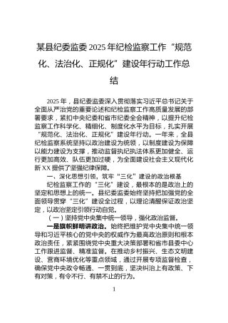 某县纪委监委2025年纪检监察工作“规范化、法治化、正规化”建设年行动工作总结